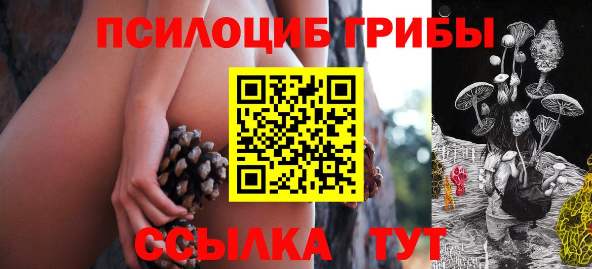 Псилоцибиновые грибы прущие грибы  Вход с VPN  Волжский  Псилоцибиновые грибы мицелий 